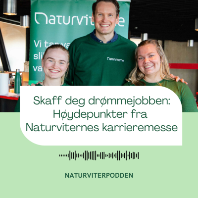 episode Slik skaffer du deg drømmejobben artwork
