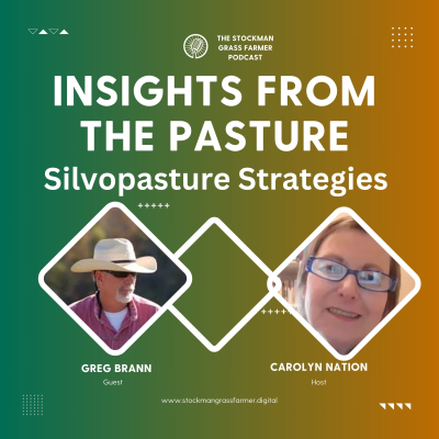 episode Silvopasture Strategies with Greg Brann artwork
