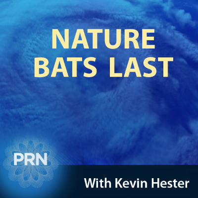 episode Nature Bats Last - 07.06.21 artwork