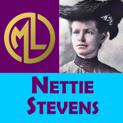 episode ✔️Cuál fue el descubrimiento de NETTIE STEVENS?💥【BIOGRAFÍAS-Grandes Mujeres】 artwork