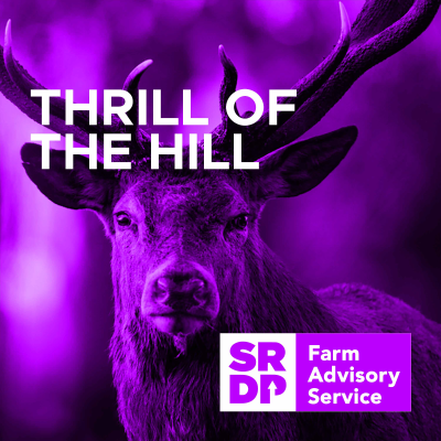 episode Thrill of the Hill - Getting Your Fill When Out on the Hill: Livestock Nutrition Planning artwork