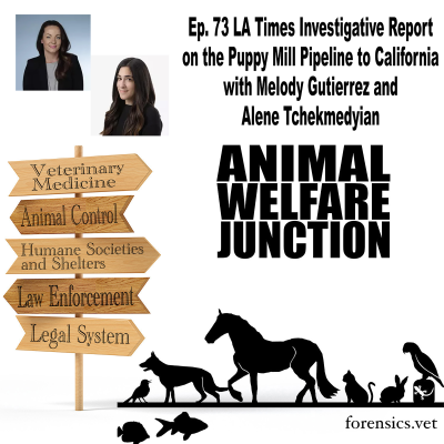 episode LA Times Investigative Report on the Puppy Mill Pipeline to California, with Melody Gutierrez and Alene Tchekmedyian artwork