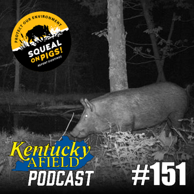 episode #151 Terri Brunjes - Wild Pigs in KY, Issues and Efforts, Paddlesports artwork