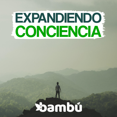 episode EP 4: Aprendizajes siendo profesor en el 2019 - Bambú expandiendo conciencia artwork