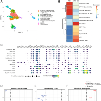 episode Engineered Bacterial Therapy Activates Immune Response in Cancer Preclinical Studies artwork