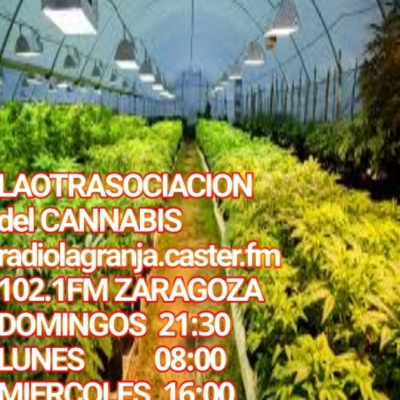 episode UNDERGROW TV #114 Infomaria, constitución de un club 2, Expomedeweed, cultivo Advanced Nutrients 5 artwork