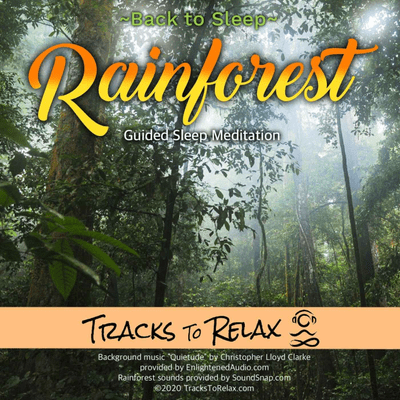 episode SLEEPY RAINFOREST artwork