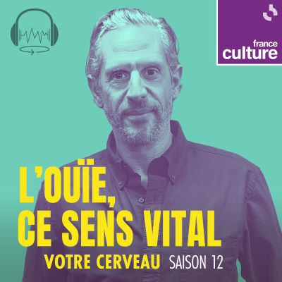 episode L'ouïe, ce sens vital 6/6 : Entendre pour mieux vivre artwork