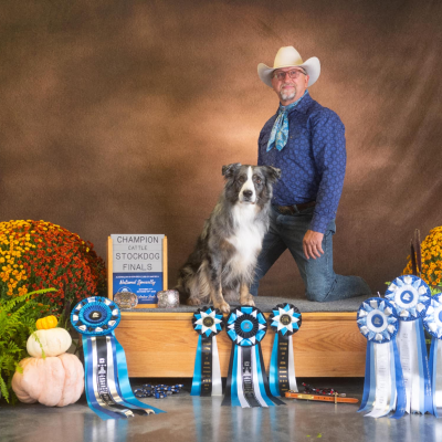 episode True Versatility - Working Ranch dogs - Winning Trial dogs with Tom Collins artwork