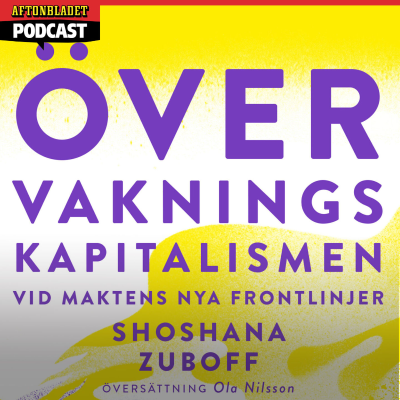 episode Övervakningskapitalismen 1: Karin Pettersson, Mattias Beijmo och Cecilia Djurberg artwork