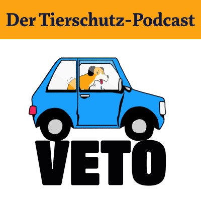 episode Hitzefalle Auto: Wir machen den Selbsttest artwork