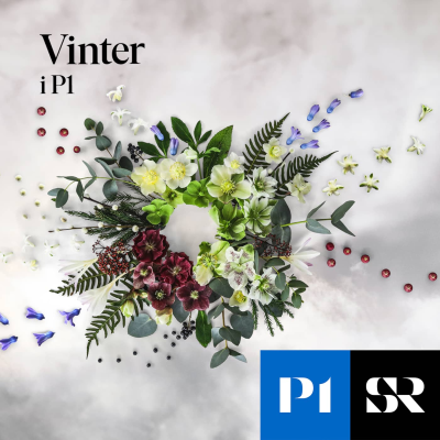 Imagen de portada del espectáculo Sommar & Vinter i P1