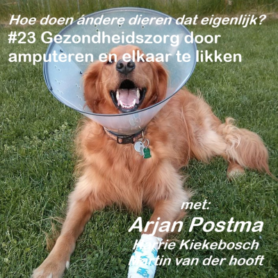 episode #23 Gezondheidszorg door amputeren en elkaar te likken artwork