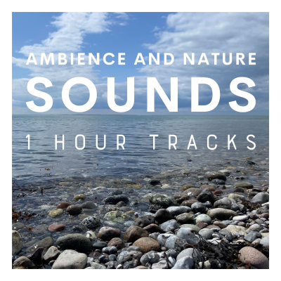 episode Ambience: Calm waves washing over beach rocks on a Danish island (1 hour) artwork
