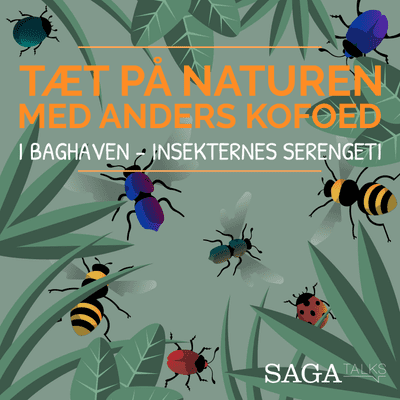 episode Episode 1: I baghaven - Insekternes Serengeti artwork
