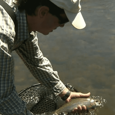 episode Caddis Hatch Trout artwork
