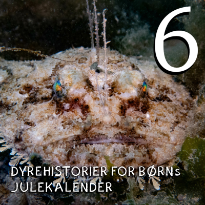 episode Julekalender - afsnit 6 artwork