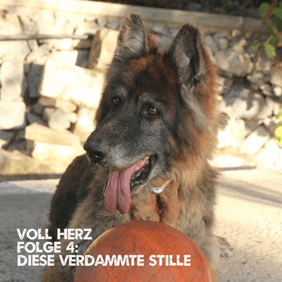 episode Folge 4 - Diese verdammte Stille artwork