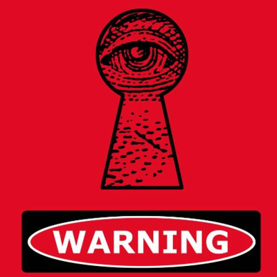 episode 2024 Is the New 1984: Big Brother and the Rise of the Security Industrial Complex artwork