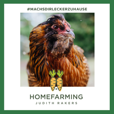 episode #24 – Februar: Special zu Vogelgrippe-Alarm und Stallpflicht. Zu Gast sind Tierärztin Dr. Eva-Maria Casteel und Hühnerfreundin Nadine Theiler artwork