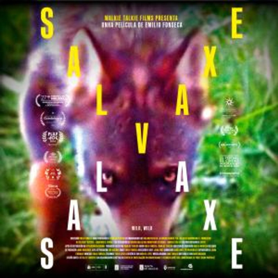 episode Efer 719 (4-9-25): Salvaxe, salvaxe artwork