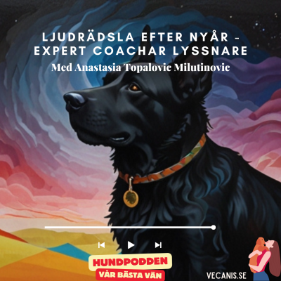 episode Ljudrädsla efter nyår - Expert coachar lyssnare artwork