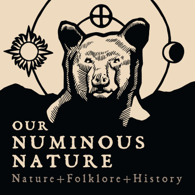 Our Numinous Nature