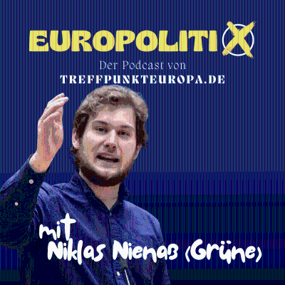 episode Niklas Nienaß, was ist die Vision der Grünen für Europa? artwork