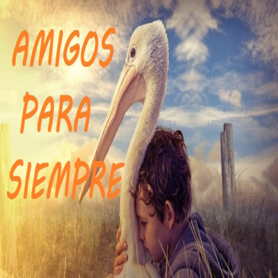 episode Amigos Para Siempre 😁 Pelicula Narrada artwork