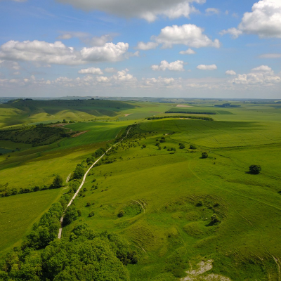 episode 42: Some of Wiltshire's Nature Reserves artwork