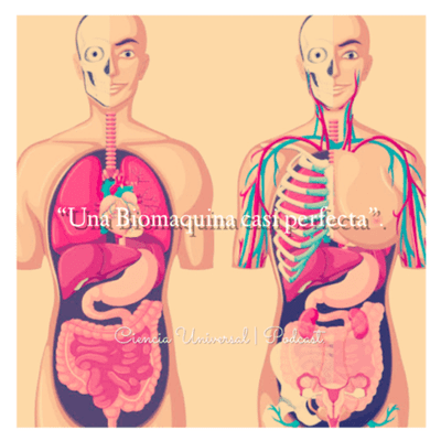 episode •"La Ciencia dentro de nuestro Cuerpo”. artwork