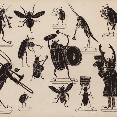 episode Amordiscos - Entomoteca musical, bichos y canciones artwork