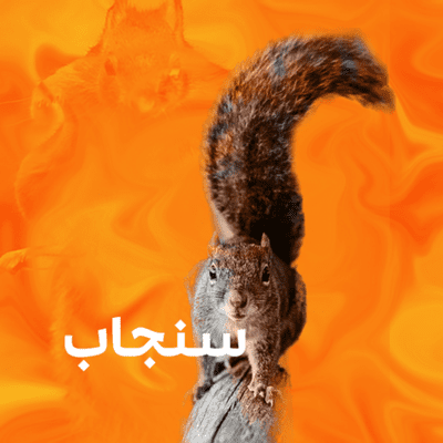 episode سنجاب artwork