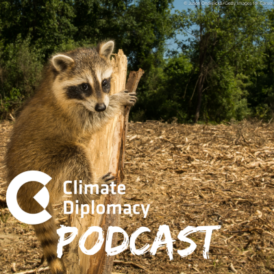 episode Episode 49: Unrooting environmental crime: Impacts and opportunities for climate and security artwork