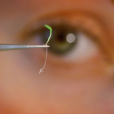 episode The seed bank storing the planet’s future artwork