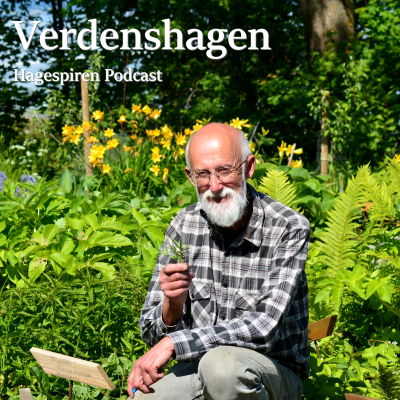 episode 25/25: Verdenshagen på Være med Stephen Barstow artwork