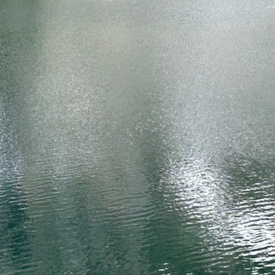 episode Episode 420: The Institute of Spectra-Sonic Sound 11.1.25 artwork