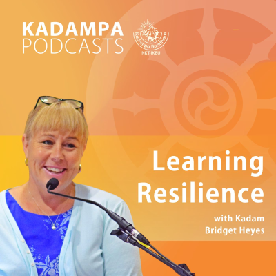 episode Learning Resilience artwork