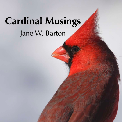 Cardinal Musings with Jane Barton