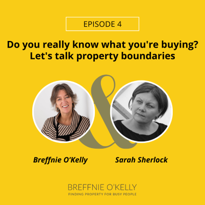 episode 63. Part 4 of the Country Home Series Do you really know what you're buying? artwork