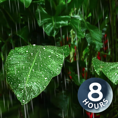 episode Rain on Giant Tropical Leaves | Raining Sound to Sleep 8 Hours artwork