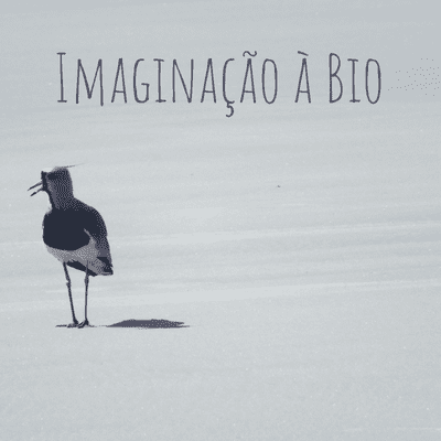 Imaginação à Bio