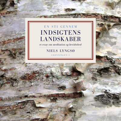 Cover image En sti gennem indsigtens landskaber