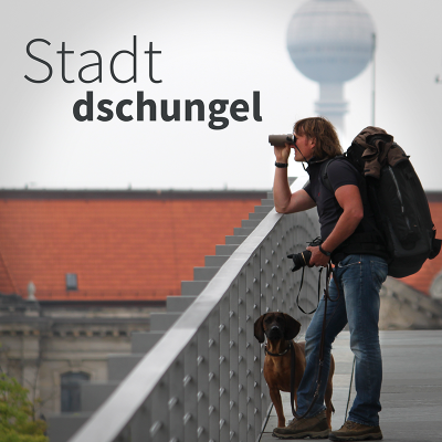 episode SD#025 Natur vor der Haustür - Bestandsaufnahme artwork