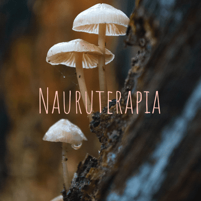 Nauruterapia