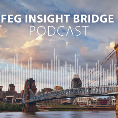 Imagen de portada del programa FEG Insight Bridge