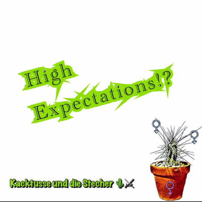 episode High Expectations artwork