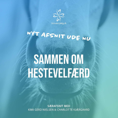 episode DRF SPECIAL: Sammen om hestevelfærd artwork
