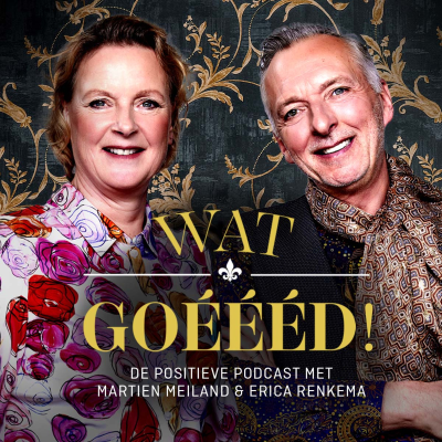 episode #13 Lale Gül: "Mijn leven is gewoon helemaal op de rit nu." artwork