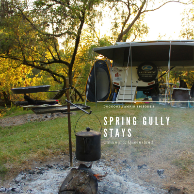 episode Spring Gully Stays artwork